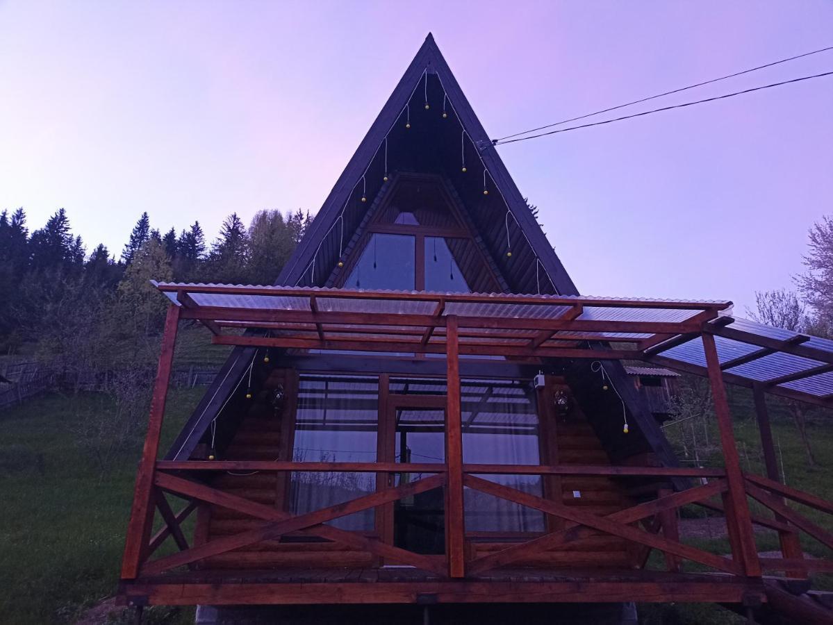 Sadyba Lileya Verchovyna Exteriör bild
