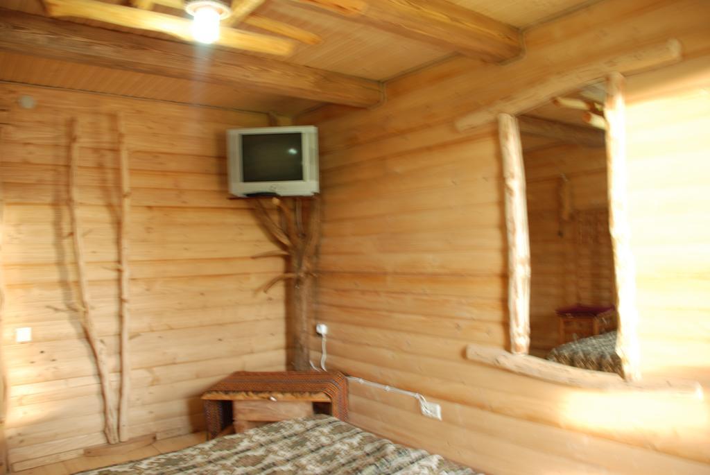 Sadyba Lileya Verchovyna Rum bild